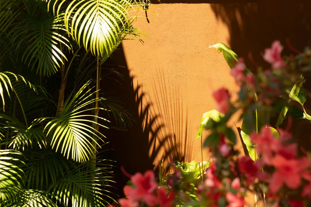 Muro externo em tom mineral entre plantas